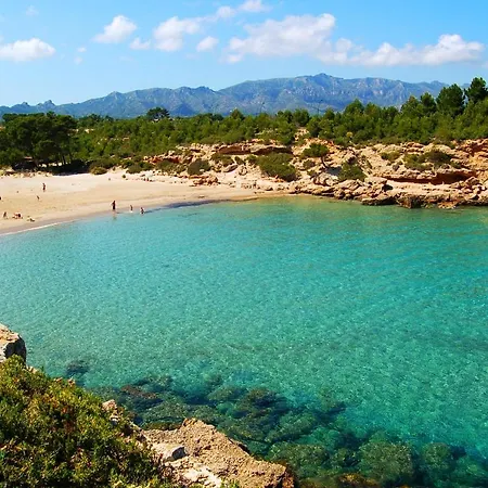 Cp Laska L'Ametlla de Mar